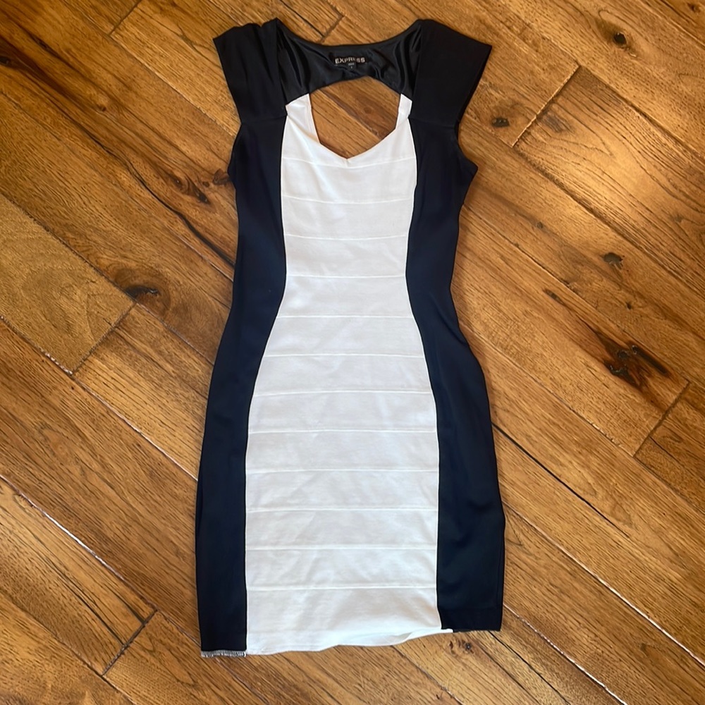 Fitted dress